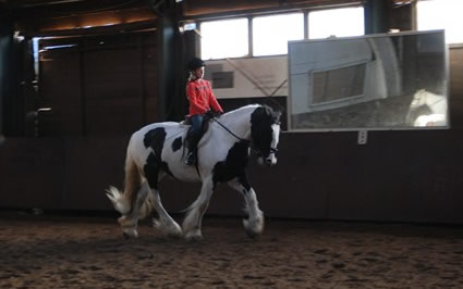 Aster van de Werff, Murphy