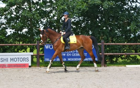 Claire van den Brul, Ultiem