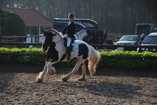 Murphy dressuurwedstrijd